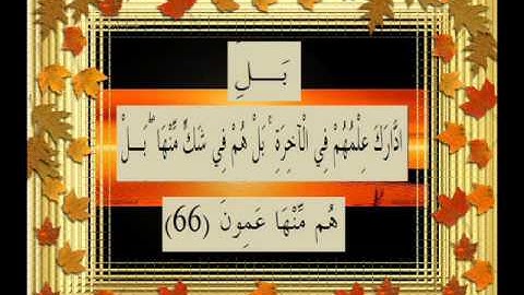 القرآن الكريم سورة النمل الأية 66.wmv