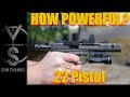How Powerful is IT?  .22 Pistol