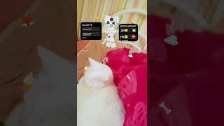 эффектов дофига