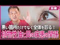 植物性油と目の疾患の関係 悪い箇所だけでなく全体を診る!〜前編〜