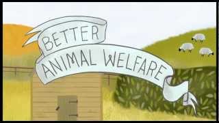 5 Reasons to Choose Organic this Organic September: #1 Animal Welfare