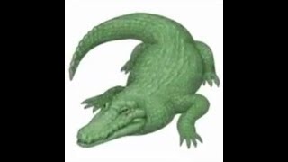 Crocfight.mp4