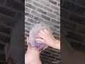 яркие рисунки на пепельном блонде / Hairtattoo / минск/ undercut