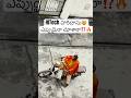 Hitech హరిదాసు🤯🔥#trending #shorts #ytshorts #haridasu #viral #sankranthi #canada #india #tips #yt
