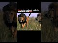 The legendary Lion🥶💀 #viral #viralvideo #youtubeshorts
