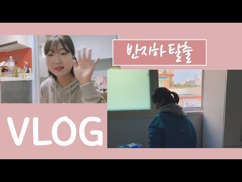 소형이사