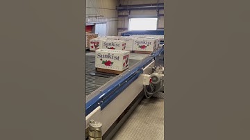 High speed automated box Palletizer