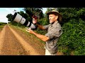 How To Film Wildlife | Ep 3