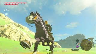Relaxing Breath of the Wild Gameplay