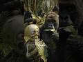 COSA SUCCEDEREBBE se venissi cresciuto dai GORILLA!? (INCREDIBILE) #shorts #animali #scienza