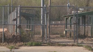 Celebrity Kirkwood ball fields face uncertain future amid community concerns Net Worth