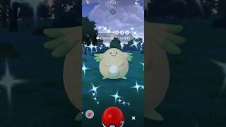 Shiny Chansey AGAIN!? - Pokémon GO - #shinyhunting #BOOSTEDSHINY #shinyhuntER