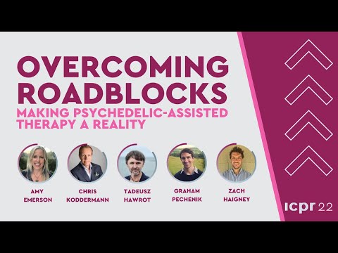 Webinar: Overcoming Roadblocks Making Psychedelic-Assisted Therapy a Reality
