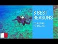 8 Best reasons to retire to Malta!  Living in Malta!
