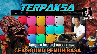 terpaksa ambon Nyawiji Simpatik Jandhut Viral Titok 