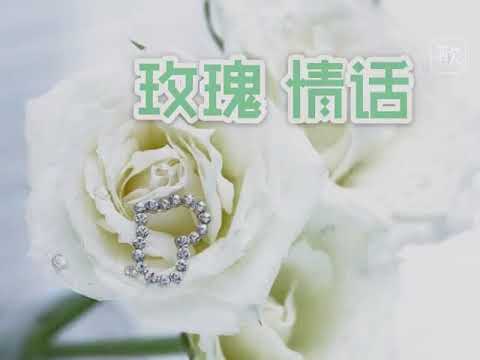 天籟穎穎-玫瑰情話