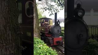 Authentieke stoomtrein in de Efteling #efteling #themepark