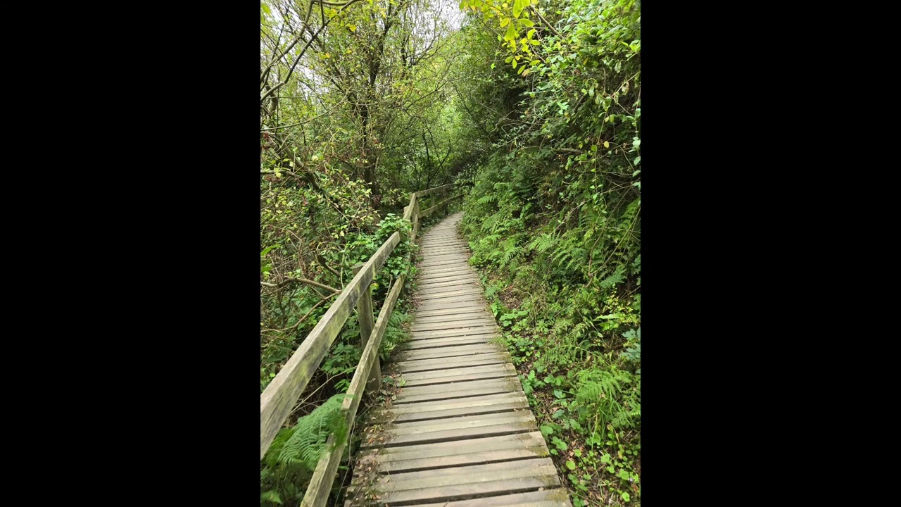 Anglesey- Cemlyn, Benllech and Red Wharf Bay (reel) 