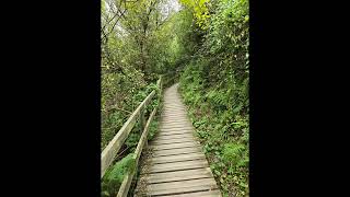 Anglesey- Cemlyn, Benllech and Red Wharf Bay (reel) #Wales #walking #roadtrip #campervan 