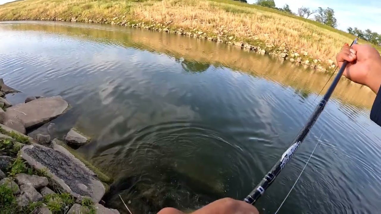 Top Water Large Mouth Googan Squad Popper