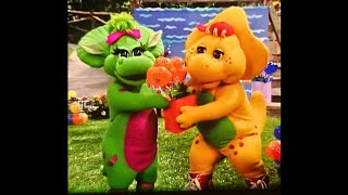 Barney It's Your Birthday Barney (2004) 60fps