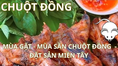Mùa gặt - Mùa săn bắt chuột đồng - Đặc sản miền tây.