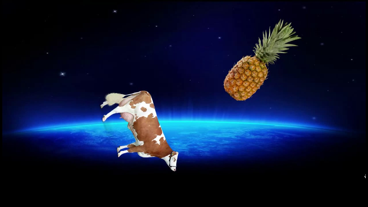 Cow and Pineapple 4 I'm gonna close the door YouTube