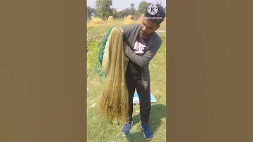 Jaal Fekne Ka Tarika 