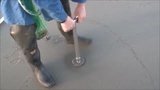 【鳥肌注意】この貝 予想外にキモい！！③