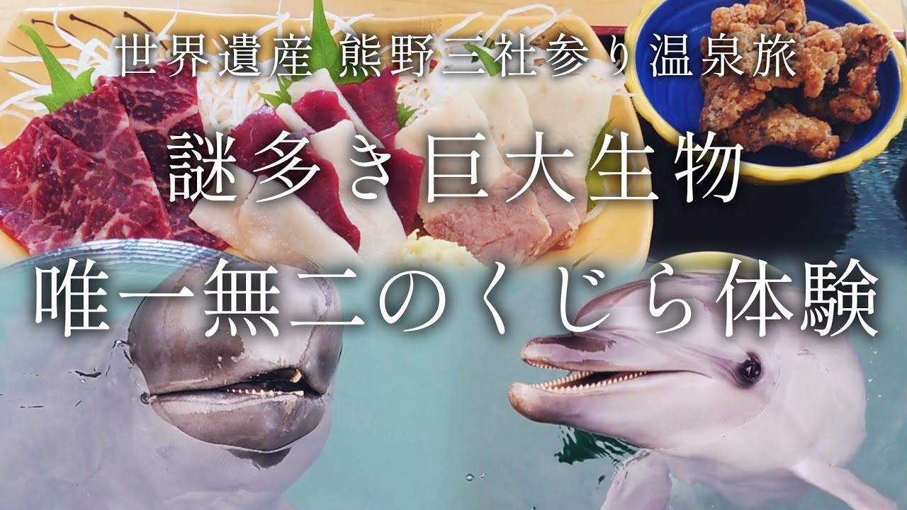 【和歌山 太地】イルカとクジラの不思議「くじらの博物館」【二人旅】世界遺産 熊野三社参り温泉旅