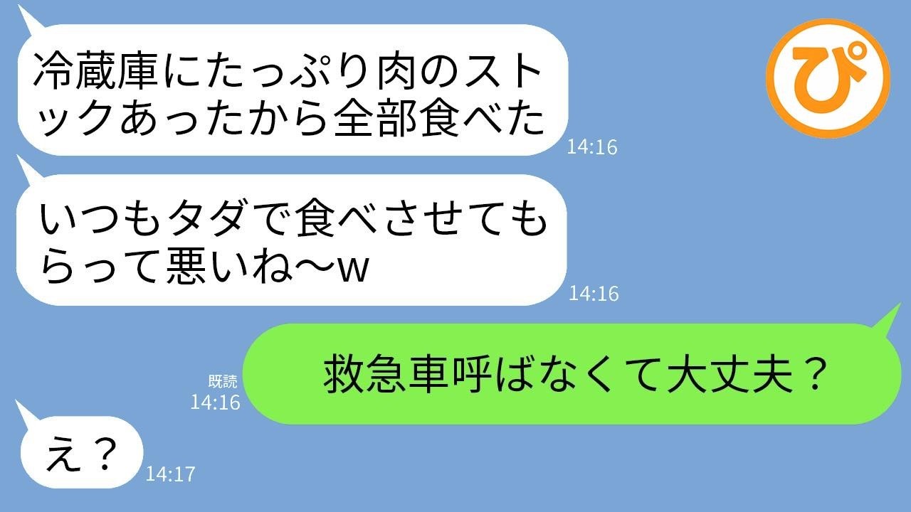 勝手に冷蔵庫を荒らす泥ママ、肉だと信じて完食→実はペットの餌！告げた瞬間のクズすぎる反応