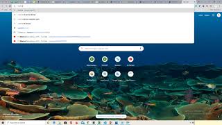 PAN Video screenshot 5