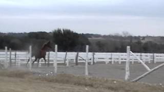 (1)20101224-090624.mpg