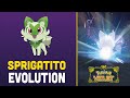 Sprigatito first evolution   pokemon violet