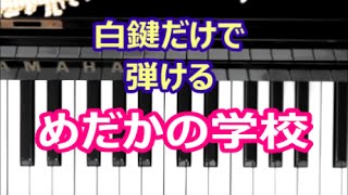 [ピアノで奏でるサビ] めだかの学校 童謡　[白鍵だけで弾ける][初心者OK]　How to Play Piano （right hand）