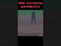 【野球解説】【朗報】マジでヤバすぎるMLBで肩力Sな選手が発見される【ゆっくり解説】#野球 #shorts #mlb