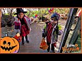 Halloween  Fun | Halloween Trick or Treat