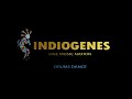 Indiogenes - Drums Dance