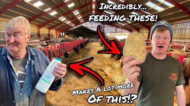 MILK PRODUCTION IS JUMPING UP!....WHAT'S REALLY IN...