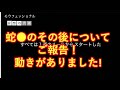 蛇の●、その後、動きがありました！●NKの人気番組プロフェッショナルエンタメでご報告！