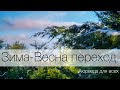 Зима-весна переход. Аюрведа для начинающих.