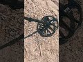 Is This a Snake… or Treasure ?  #bestmetaldetector #metaldetecting