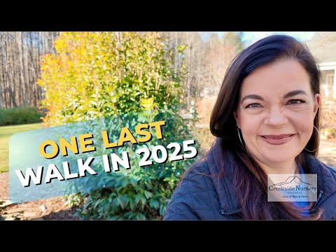 Closing Out The Garden Year Dreaming Ahead To 2026 