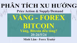 PHÂN TÍCH XU HƯỚNG VÀNG - FOREX - BITCOIN 20-26/5/24 ( Vàng, Bitcoin đều Tăng )