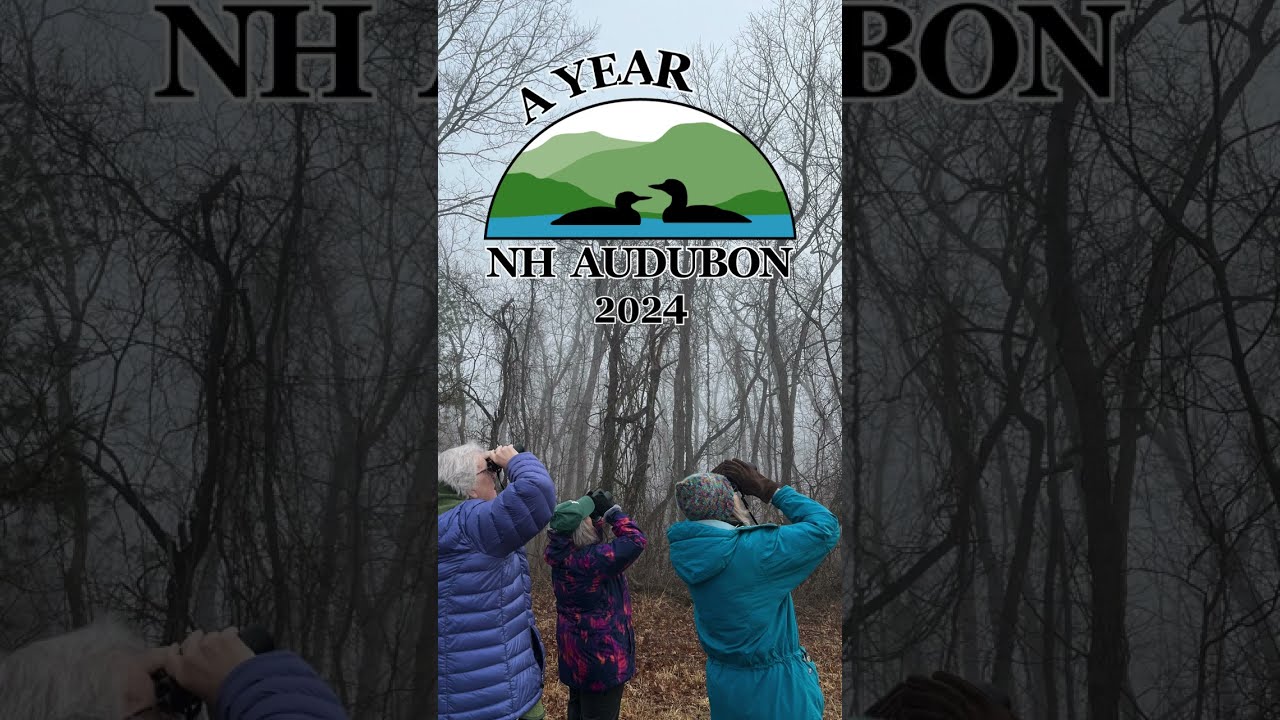 A Year of NH Audubon 2024