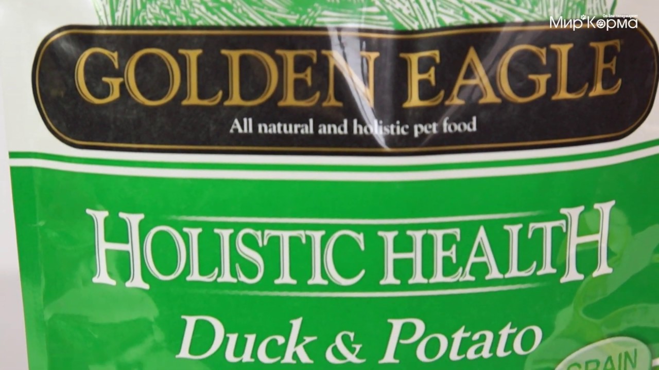 Holistic Care Feeding Of The Body Mind Spirit Wellness Paths