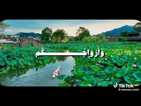 ادخلوا الجنة قرآن كريم راحة نفسية اشتراك تفعيل الجرس لايك كومنت مشاركه شلتنا اكسبلور