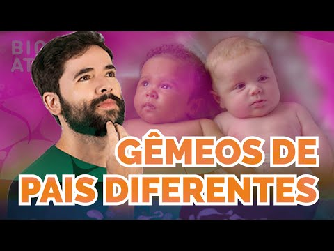 Vídeo: Gêmeos fraternos podem ter pais diferentes?