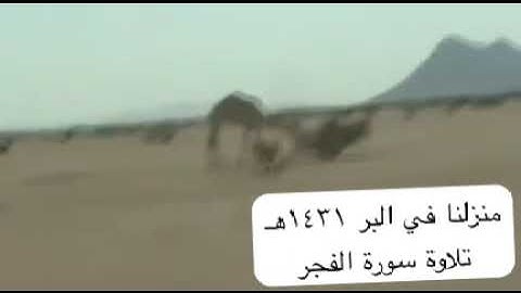 دحيم الحماد ١٤٣١هـ سورة الفجر منزلنا في البر