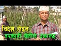        vegetable farming in nepal 